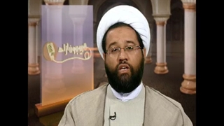 موضع ام المومنین ام سلمه نسبت به آقا امیرالمومنین