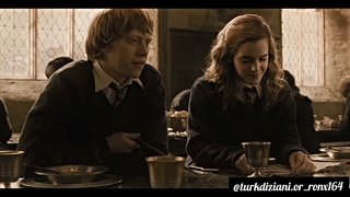 میکس هرمین و رون (جنگ بیخودی)ترکی