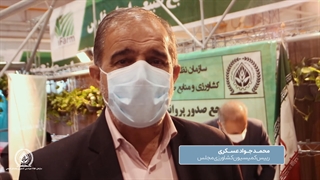 بازدید رئیس کمیسیون کشاورزی مجلس از نمایشگاه آی‌فارم شیراز