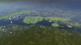 زیبایی دیارزاگرس