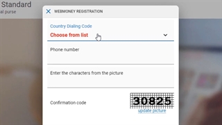 توی پاکت آپشن دلار وارد کردن ( برای استارت تریدینگ) و بعد دلارهای سود رو برداشت کردن