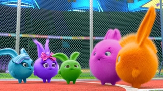 کارتون خرگوش های آفتاب : قسمت جدید انیمیشن Sunny Bunnies