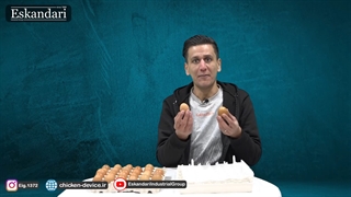 ارتباط بین سایز تخم های نطفه دار و شانه های جوجه کشی