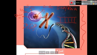 فصل 6 پارت 1 زیست 11