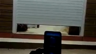 خرید مبدل موبایل-