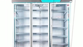 یخچال پروتئینی ریماسرما