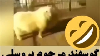 مـــــــامــــــــان