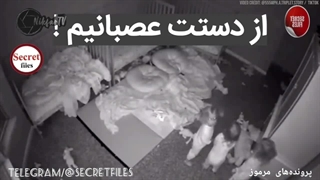 ترسناک ترین تصاویر واقعی ضبط‌شده در جهان از تهدید و حمله ارواح و اجنه به کودکان معصوم و بی دفاع