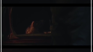 جواد عزتی،شنای پروانه،sg3424،تی پی لینک،سوئیچ 24پورت،sg3424p+