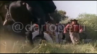 سریال* El Zorro*قسمت3_فصل2