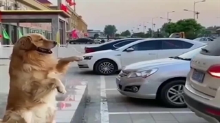 ممدآقا بیا