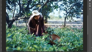 یه افکت ساده و جذاب در سه سوت