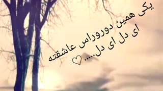 ای دل......ای دل......❤