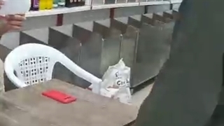 گیاهان دارویی