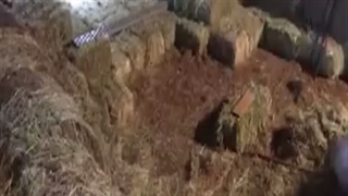 ساعت و انبار کاه