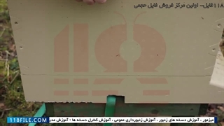 آموزش پرورش ملکه زنبور عسل-جمع آوری زنبور عسل-آموزش اصول بهبود زنبورها