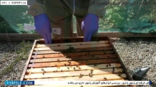 آموزش پرورش ملکه زنبور عسل-جمع آوری زنبور عسل-چک و وارد و خارج کردن سوپرها