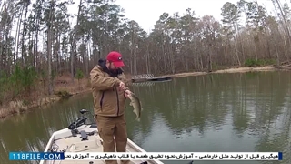 آموزش آنلاین ماهیگیری - ماهی گیری با دست  ( تعقیب خارماهی پیش از تخم ریزی )