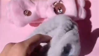 هدبند حوله ای درجه 1 میشا