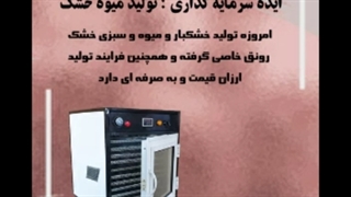 کسب درامد با دستگاه خشک کن میوه و سبزی