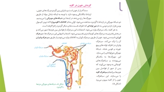 دهم--فصل5-ش3