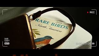 میکس فیلم یه تیغ جهنمی (hacksaw ridge) بچه ها بزنید رو بزرگ شدن که براتون خوب بشه