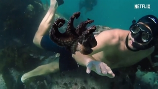 سینمایی مستند معلم اختاپوس من My Octopus Teacher 2020