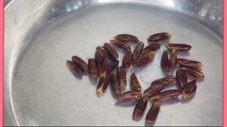 علل ریزش مژه چیست؟ بهترین راهکارهای درمان و تقویت مژه ها