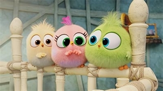 انیمیشن پرندگان خشمگین 2 - بهترین جوجه ها - قسمت 2