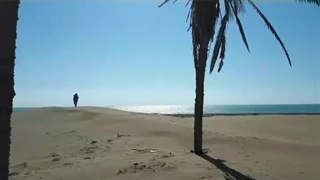 گشت و گذاری در ساحل درک | املاک باشی