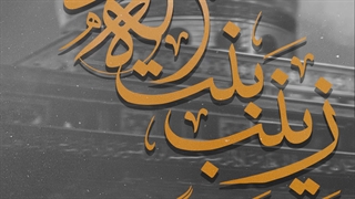 استوری وفات حضرت زینب (س)
