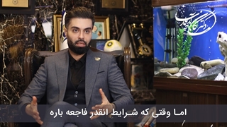 نظر دکتر ماکان آریا پارسا در مورد فروش نخل ایران هایفوتراپی