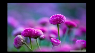 آهنگ زندگی یه آرزوی مبهمه مگه نه