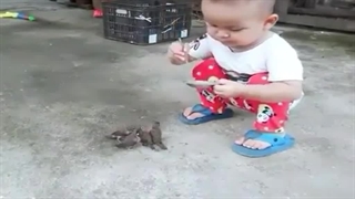 غذادادن پسر کوچولو به گنجشک ها