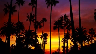 ما پسرا از اخلاق دخترای ایرانی میترسیم پیشنهاد دوستی بدیم تحقیرمون کنند همه دروغگو و بدکاره نیستند