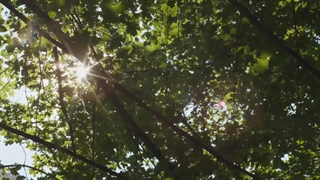 Time To Think[A Bit Different]