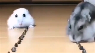 وضعیت سرعت اینترنت در ایران