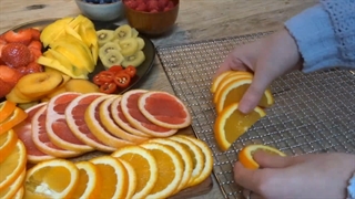 میوه خشک شکلاتی