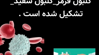 بدن قسمت سوم درس دهم