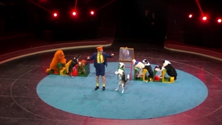 سیرک : نمایش با سگ ها