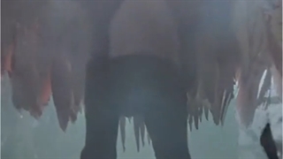 دوستان گول امری چیزی ندارین-_-