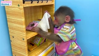 فیلم *Animals Home*قسمت بیست ودوم