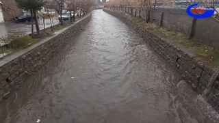 بارش باران در بیرجند