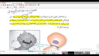 تقسیم سیتوپلاسم تا اخرگفتار۲-مدرس:سعیدفتحیپور