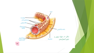 دهم--فصل5-ش6