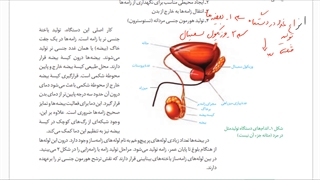 یازدهم-فصل7-ش5