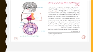 یازدهم-فصل7-ش14