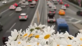 قویترین داروی افسردگی