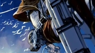 ادیت میکاسا