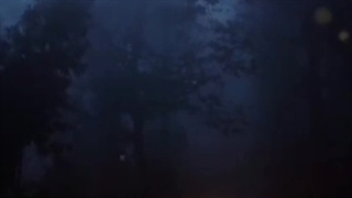 بیا ای ماه من...